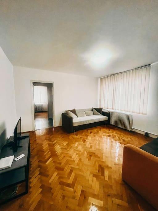 Ultracentral Big Flat Near The Opera Square P17 Timisoara Ngoại thất bức ảnh