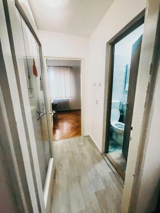 Ultracentral Big Flat Near The Opera Square P17 Timisoara Ngoại thất bức ảnh