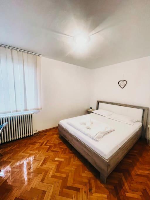 Ultracentral Big Flat Near The Opera Square P17 Timisoara Ngoại thất bức ảnh