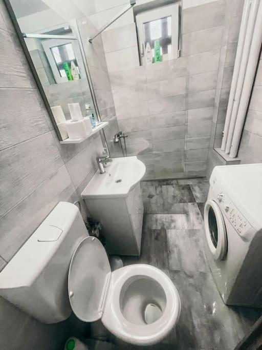 Ultracentral Big Flat Near The Opera Square P17 Timisoara Ngoại thất bức ảnh