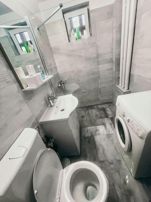 Ultracentral Big Flat Near The Opera Square P17 Timisoara Ngoại thất bức ảnh