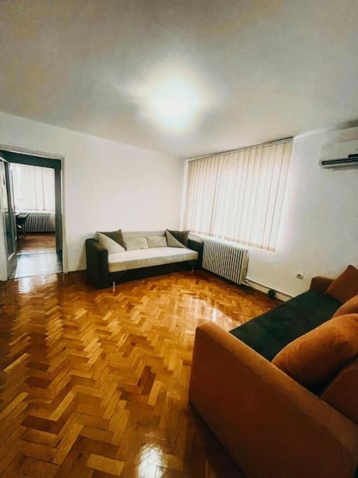 Ultracentral Big Flat Near The Opera Square P17 Timisoara Ngoại thất bức ảnh