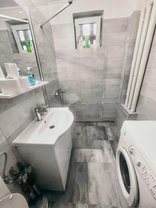 Ultracentral Big Flat Near The Opera Square P17 Timisoara Ngoại thất bức ảnh