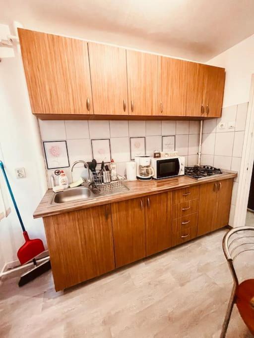 Ultracentral Big Flat Near The Opera Square P17 Timisoara Ngoại thất bức ảnh